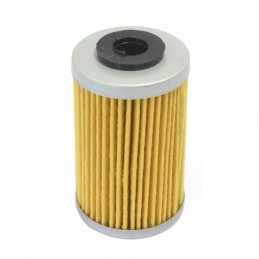 Filtro olio KTM 500 EXC-F...