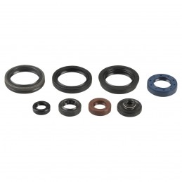 Paraoli Sherco 300 SEF-R...