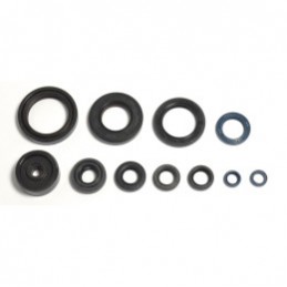 Paraoli Sherco 300 SE-R...
