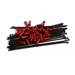 Set raggi ruota Yamaha YZ...
