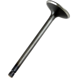 ‎VALVOLA EX TITAN RMZ250...