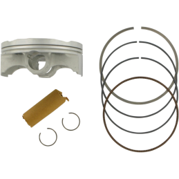 KIT PISTONE CRF250R/250X